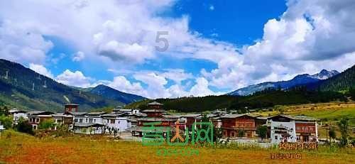 青岛：聚焦急难愁盼 把民生实事办到群众“心坎”上