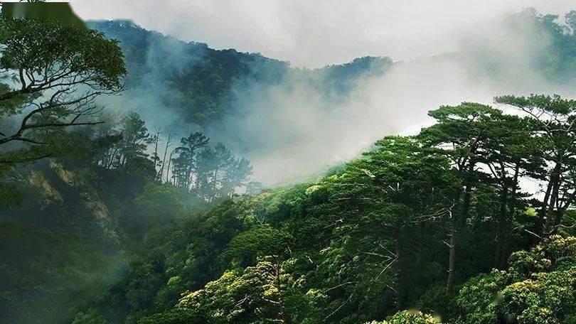 杨紫雪地畅玩俏皮可爱 气质温柔清冷迷人